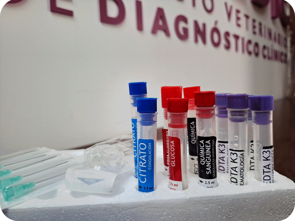 metodologia